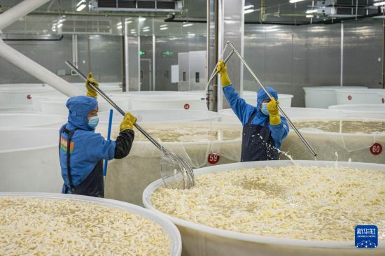 云南镇雄:山区产业园助力乡村振兴