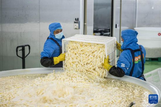 云南镇雄:山区产业园助力乡村振兴