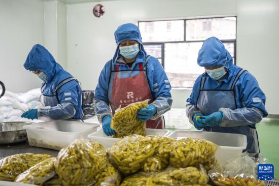 云南镇雄:山区产业园助力乡村振兴