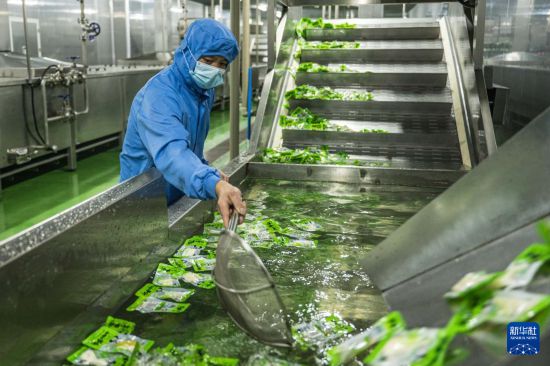 云南镇雄:山区产业园助力乡村振兴