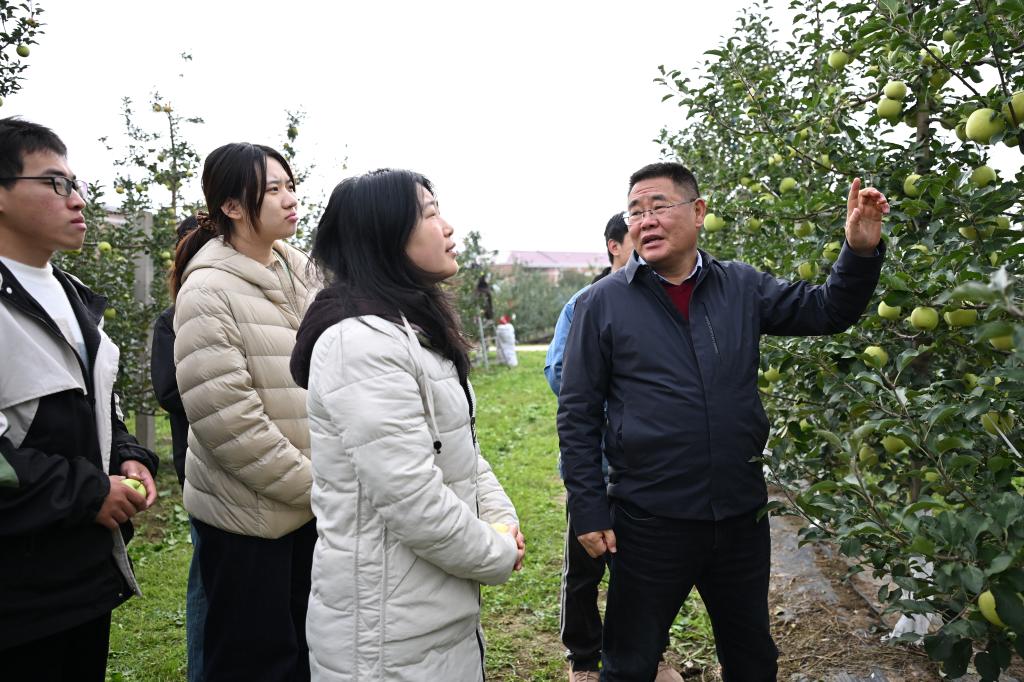 陕西白水:苹果试验站铺就“致富路”