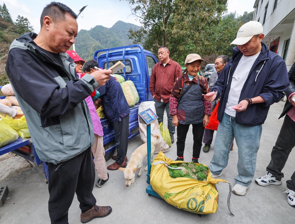 公益收菜计划温暖山村留守老人