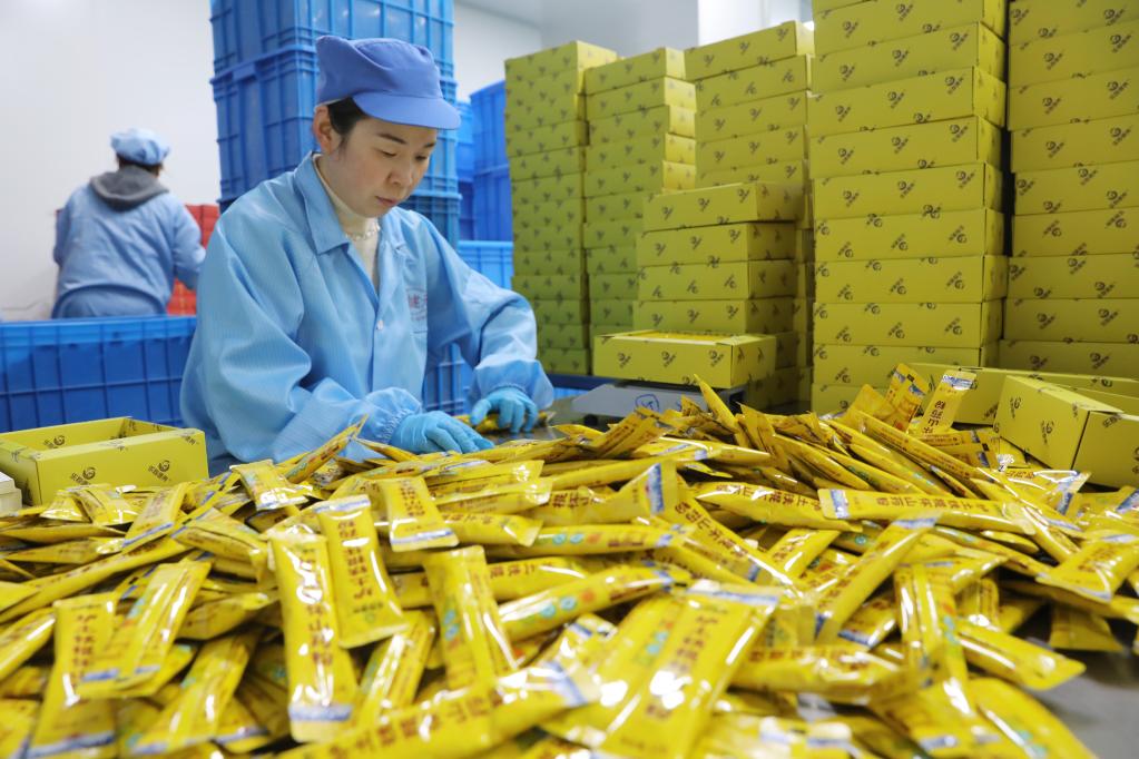 河南温县:铁棍山药产业助农增收