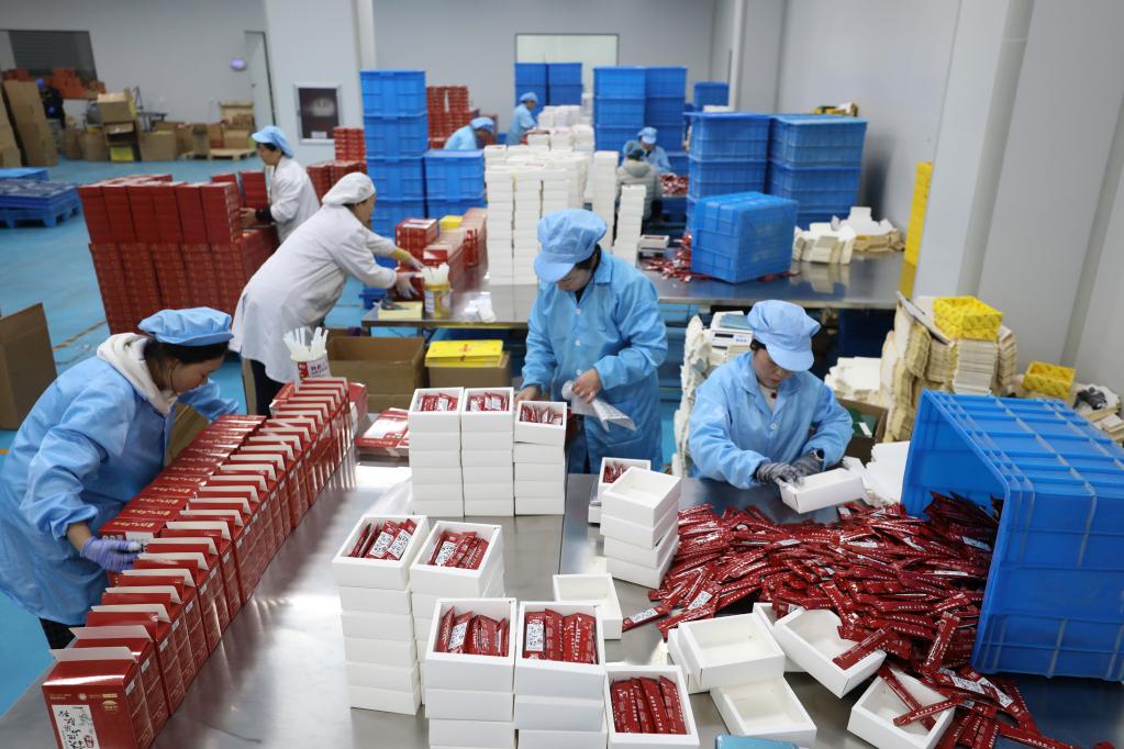 河南温县:铁棍山药产业助农增收