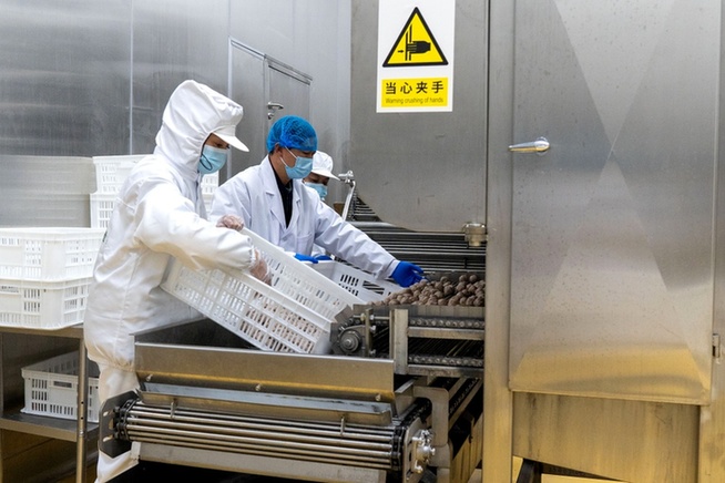 生产车间内。祁海峰摄