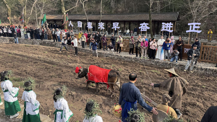 新春走基层丨夜宿乡村话共富