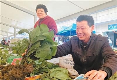 350余株葡萄苗串起两家人“向上人生”