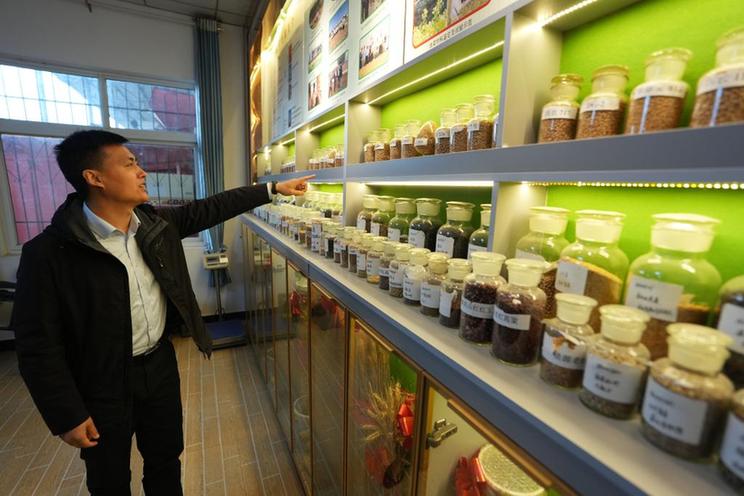 陕西陇县:小麦科技小院助力乡村振兴