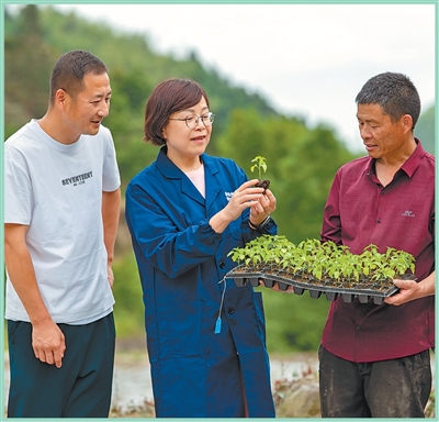 有计划、有组织开展大规模扶贫开发四十年—— 中国减贫经验成为重要国际公共产品