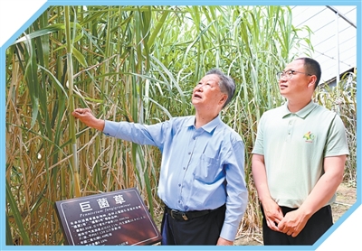 书写共同富裕的山海答卷——五位闽宁协作亲历者的故事