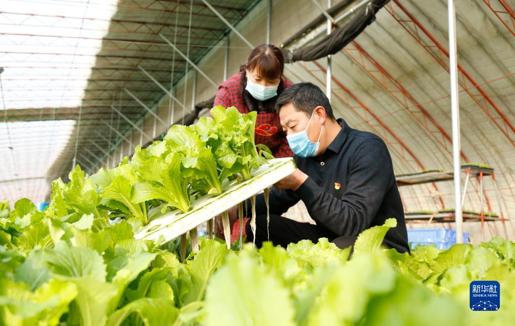 让希望的田野充满活力——从全国两会看乡村振兴发力点