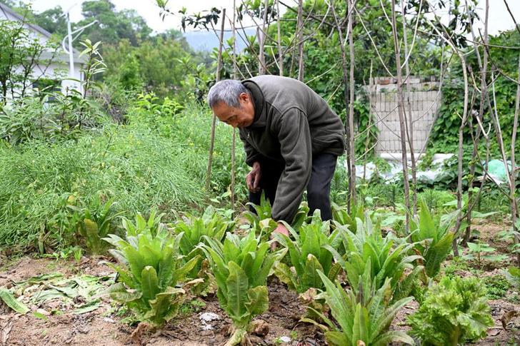 我在现场·照片背后的故事｜大山里，这位收废品老人的捐款收据铺满一桌