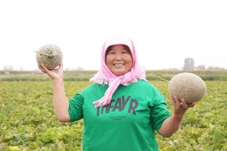 妇基会“百事乡村振兴农业节水项目”浇灌丰收的希望