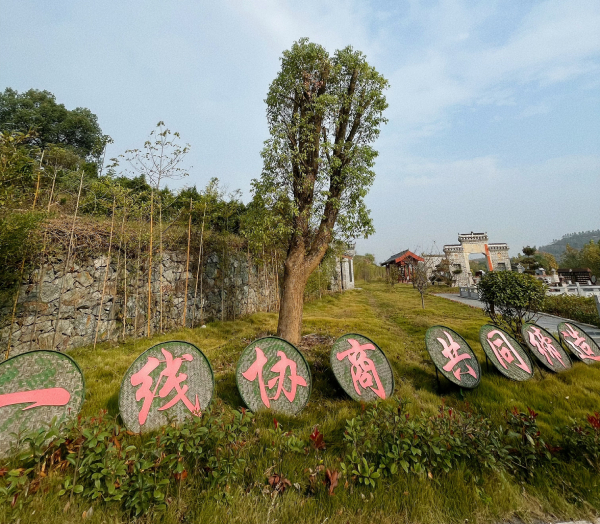 理响中国·讲好“中国式商量”故事|湖北大冶：一线协商成为乡村发展的“加速器”