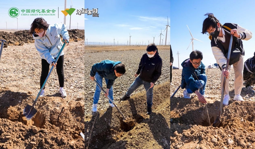 走进幸福家园，宁夏项目地共植“枸杞绿”
