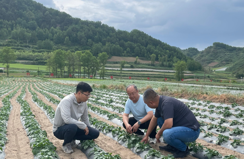 青春华章·重走西北角｜三代科研人接力六十载，马铃薯田育出富民路
