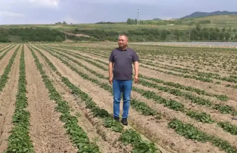 青春华章·重走西北角｜三代科研人接力六十载，马铃薯田育出富民路