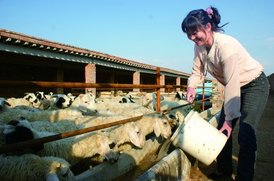 宁夏吴忠市盐池县马儿庄村:绿了家园 富了村民 宁夏吴忠市盐池县马儿庄村:绿了家园 富了村民