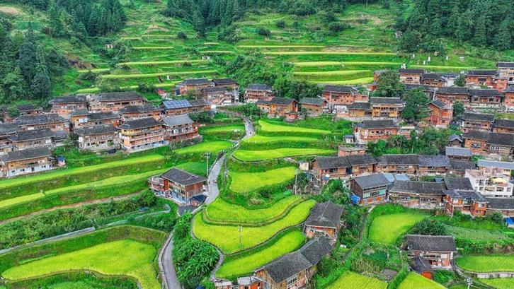 聚焦产业、科技与绿色 中国三星发布新三年社会责任成果