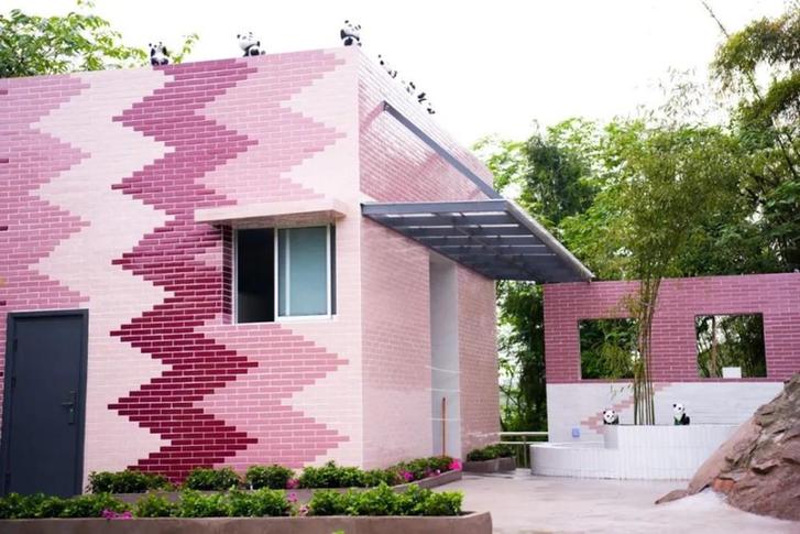 聚焦产业、科技与绿色 中国三星发布新三年社会责任成果