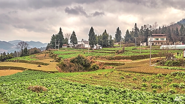 【新春走基层·走进贵州】这些曾经沉寂的村寨，热闹起来了
