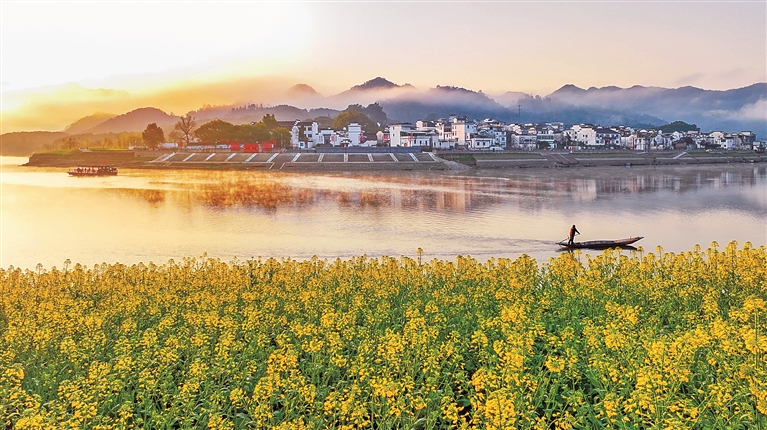 从“垃圾围城”到“变废为宝”，怎么做到的？