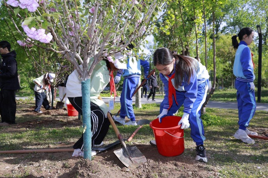 京藏少年手拉手 共植同心向未来