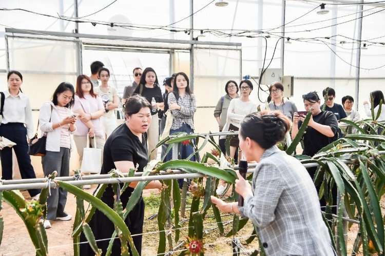 从“赋能一人”到“振兴一片”——巾帼新农人”支持计划交出首年丰收答卷 从“赋能一人”到“振兴一片”——巾帼新农人”支持计划交出首年丰收答卷