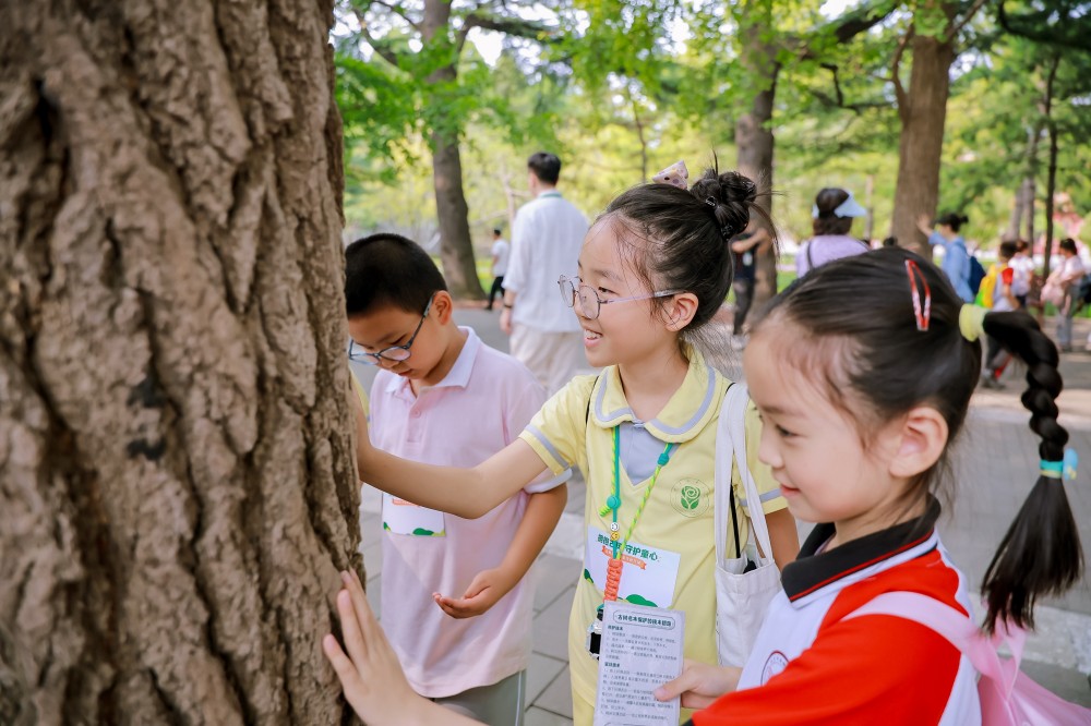 创新青少年自然科普教育 中国平安举办“拥抱古树 守护童心”公益活动 创新青少年自然科普教育 中国平安举办“拥抱古树 守护童心”公益活动