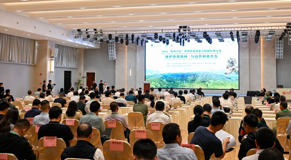五年了,看海南热带雨林国家公园的这份答卷