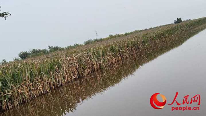 秋收困境透视农业抗灾短板