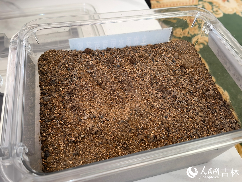 生物质水稻育苗基质。人民网记者 马俊华摄