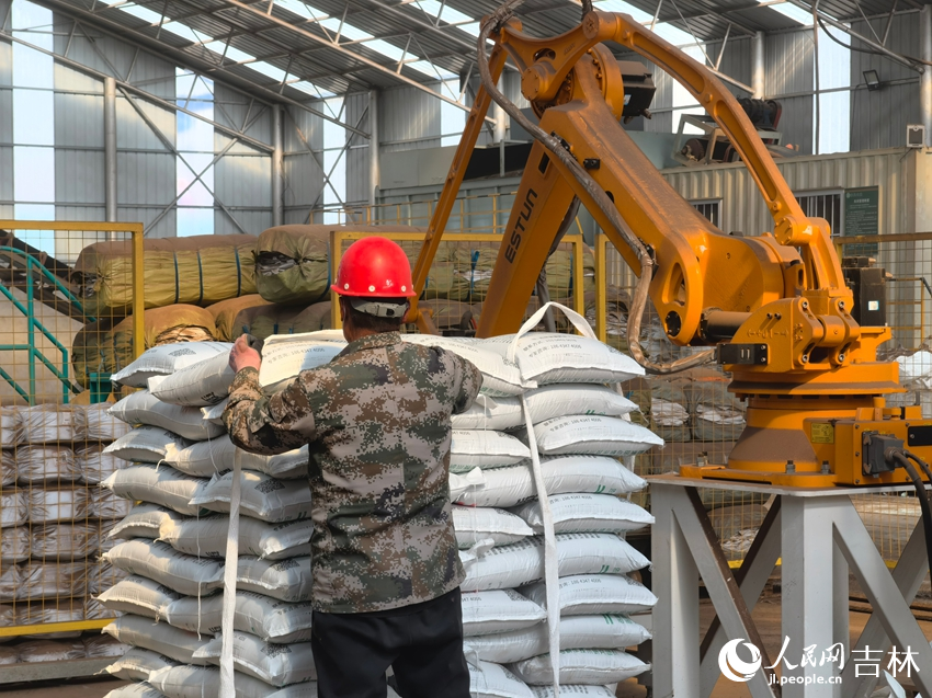 来贝农业生产车间内，包装成袋的生物质水稻育苗基质即将送往农户。人民网记者 马俊华摄