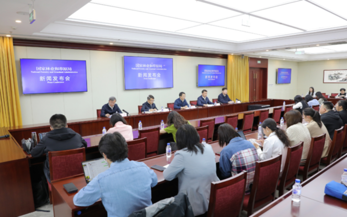 我国草原工作取得标志性成果 年均修复超4600万亩