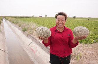 水润“她”世界:一滴水改变生活 ——“母亲水窖”25年公益实践纪实 水润“她”世界:一滴水改变生活 ——“母亲水窖”25年公益实践纪实