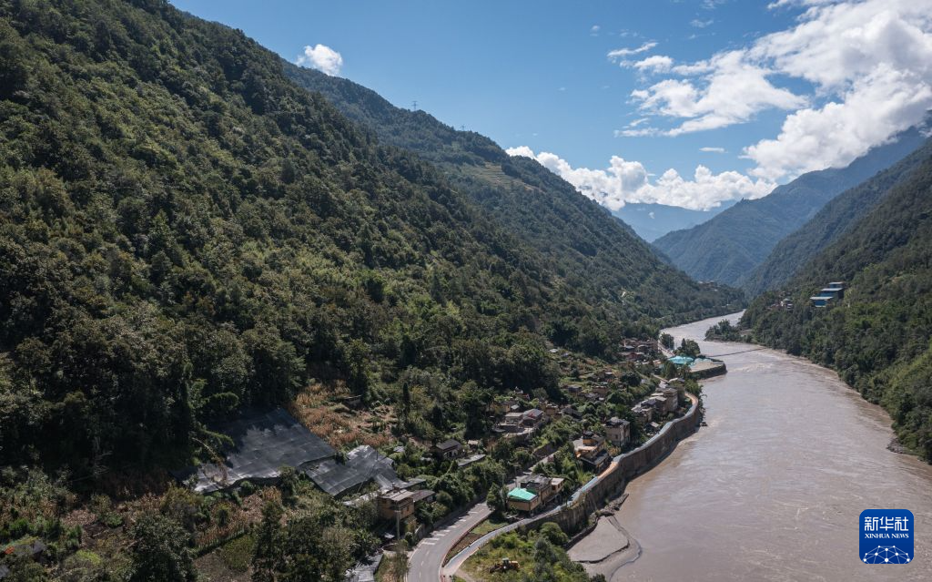 怒江峡谷间种出的“致富果”